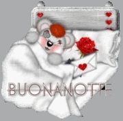 buona notte